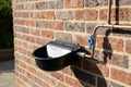 The Pet Hydration Station